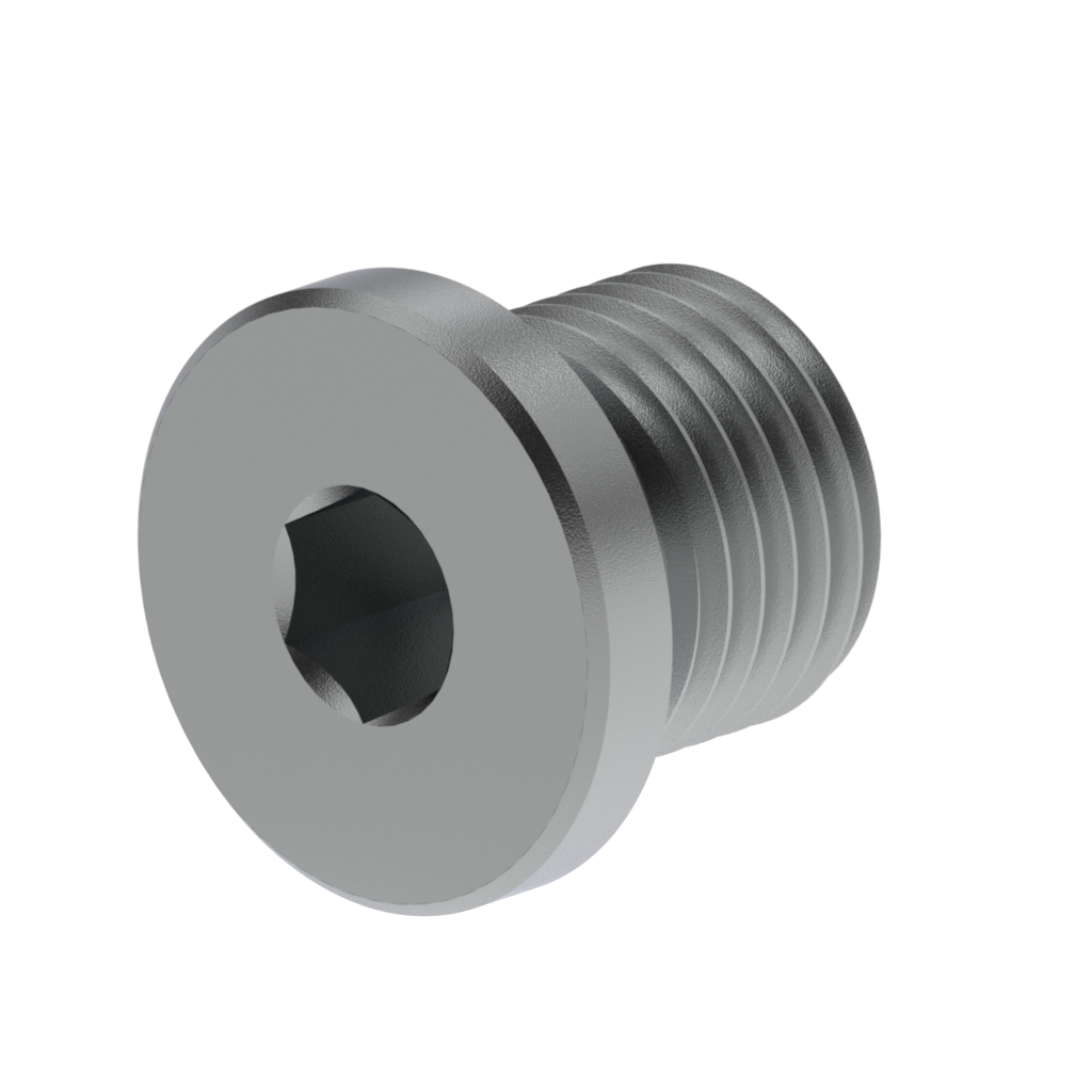 Metric DIN Allen Socket Drain Plug BSPP